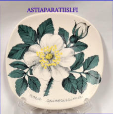 ARABIA,Seinälautanen "Valkoinen ruusu" Rosa spinosissima,Botanica,Design:Esteri Tomula,Valmistettu 1980-1981-luku,Korkeus n. 12 cm, leveys n. 12 cm,1 kpl,53€ /kpl ( Tuote nro / Item #105E )