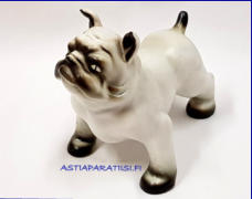 ARABIA,figuuri, koira bulldog,Design:Lea von Mickwitz ,1960 luku,Leveys n.14 cm ja korkeus n. 11 cm 1 kpl,158€/kpl ( Tuote nro / Item #104Z )