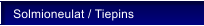 Solmioneulat / Tiepins