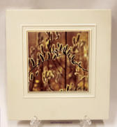 KERMANSAVI, Kev�t, Raimo Heinonen, T�m� keraaminen seinataulu kuuluu valokuvaaja Raimo Heinosen Kerman Savi Oy:lle kuvaamaan, Vuodenajat -sarjaan, johon kuuluvat, kes�, syksy, talvi ja kev�t. Kutakin aihetta valmistettu vain 5000 kpl.Leveys 19 cm, korkeus