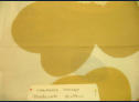 Marimekko ”Unikko” Pöytäliina, n. 95 x 95 cm ,0kpl