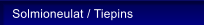 Solmioneulat / Tiepins