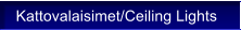 Kattovalaisimet/Ceiling Lights