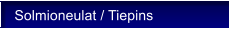 Solmioneulat / Tiepins